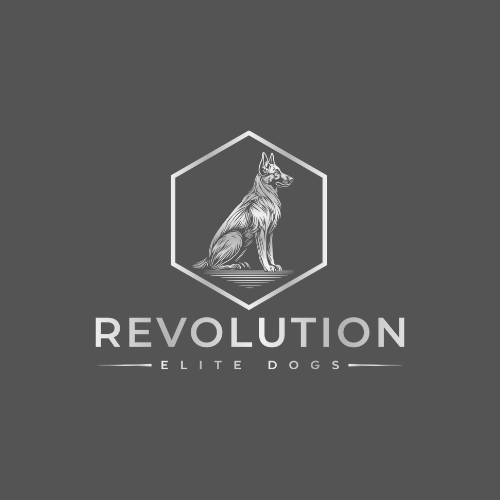 Revolution Dog Training Ltd