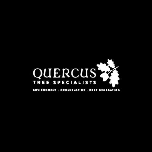 Quercus Tree Specialists Ltd